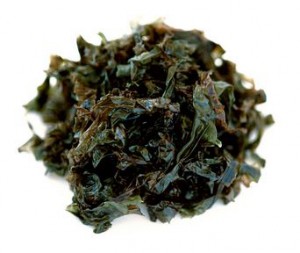 生きている海苔の写真