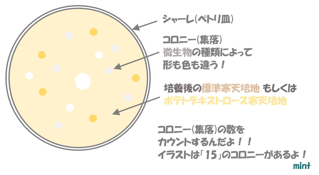 落下菌.コロニー