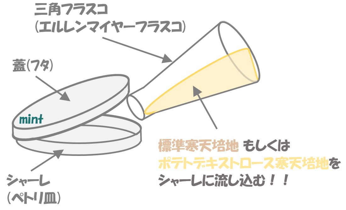 落下菌.平板作成