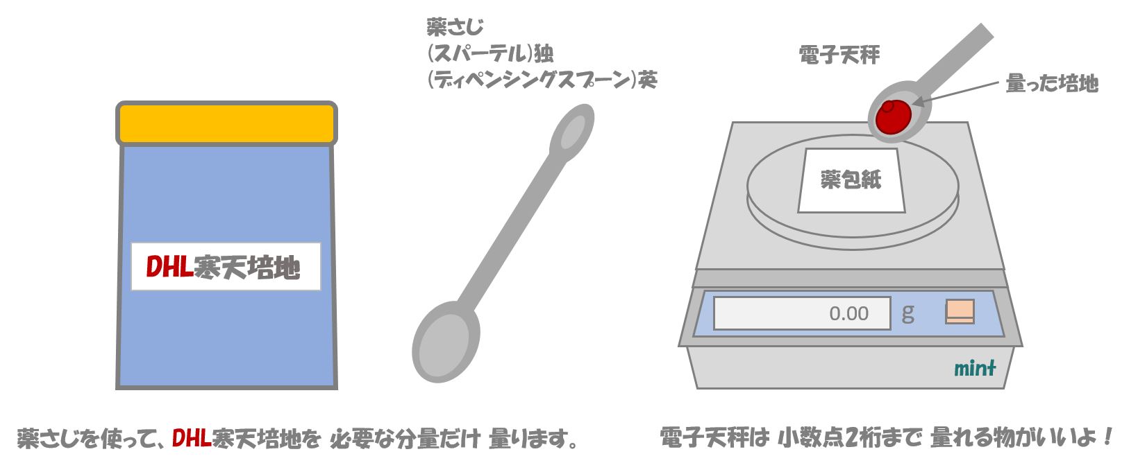 サルモネラの検査⑬